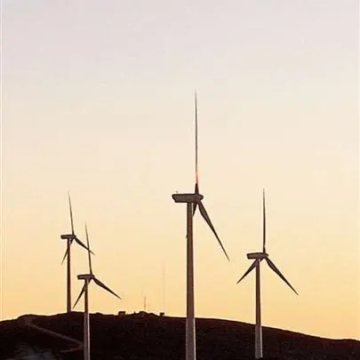 September start for Mahinerangi wind farm