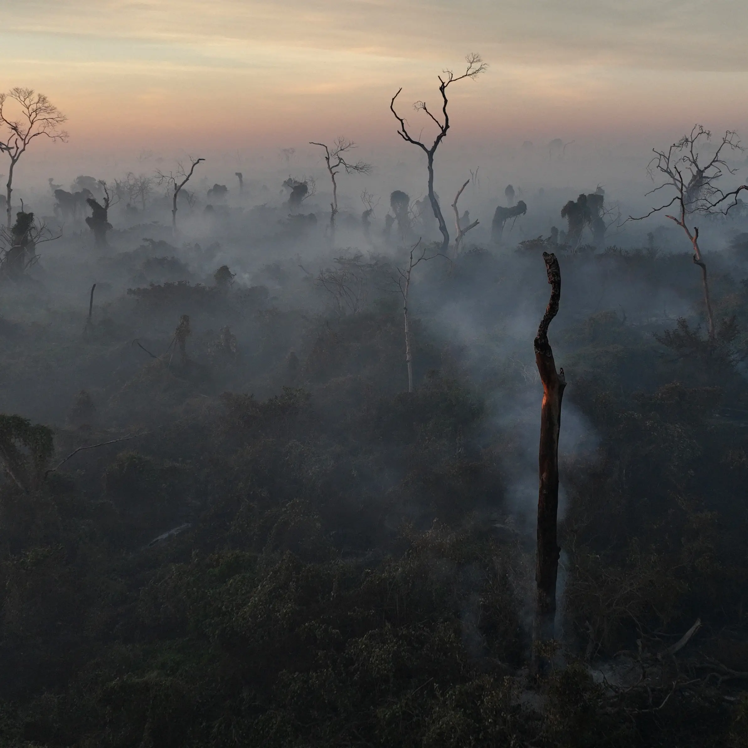 Record fires in world's largest wetlands