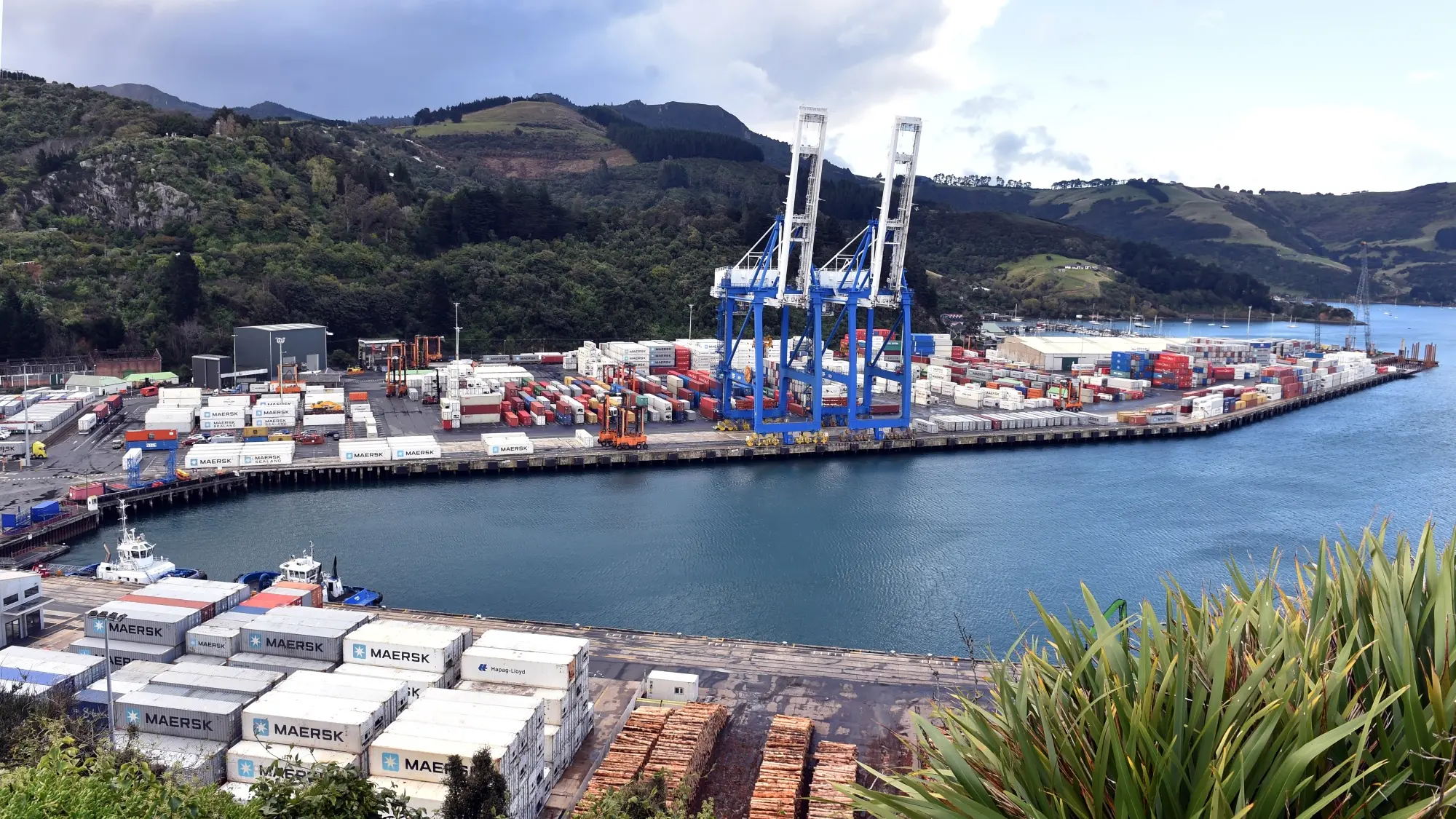 Worker hurt in forklift fire at Port Chalmers
