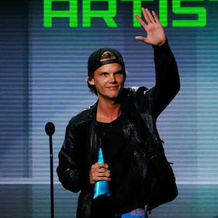 Music star Avicii 'could not go on any longer'