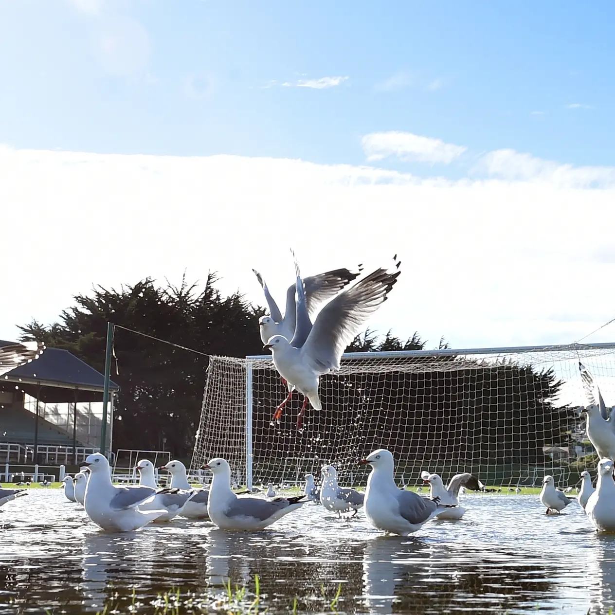 No serious damage to grounds from recent rain