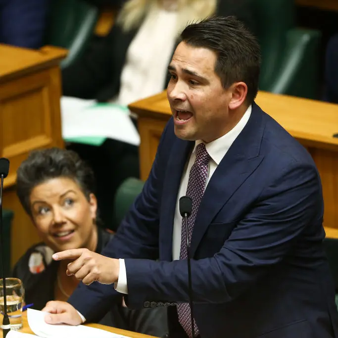 Budget: 'Tax more and borrow more' - Bridges