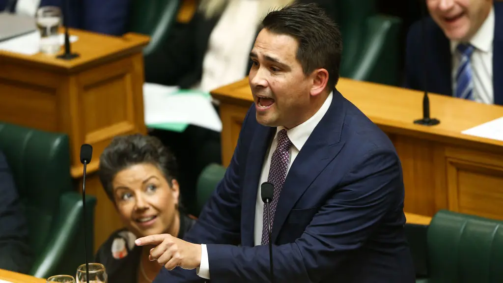 Budget: 'Tax more and borrow more' - Bridges
