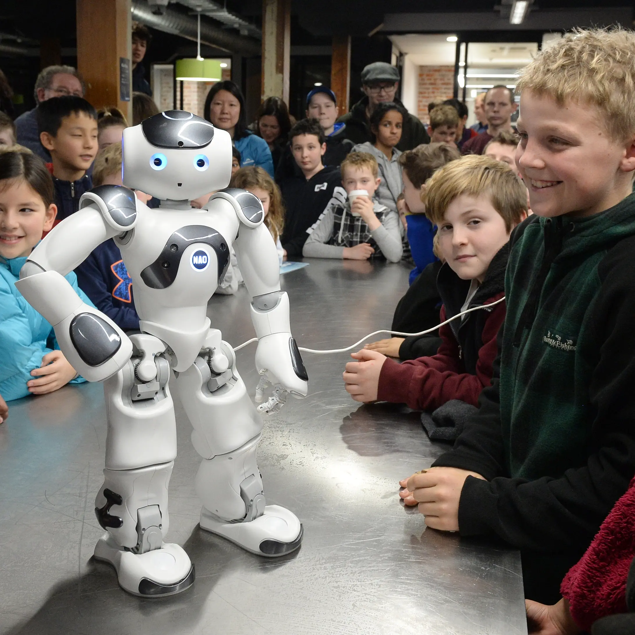 Robot about more than just fun and games