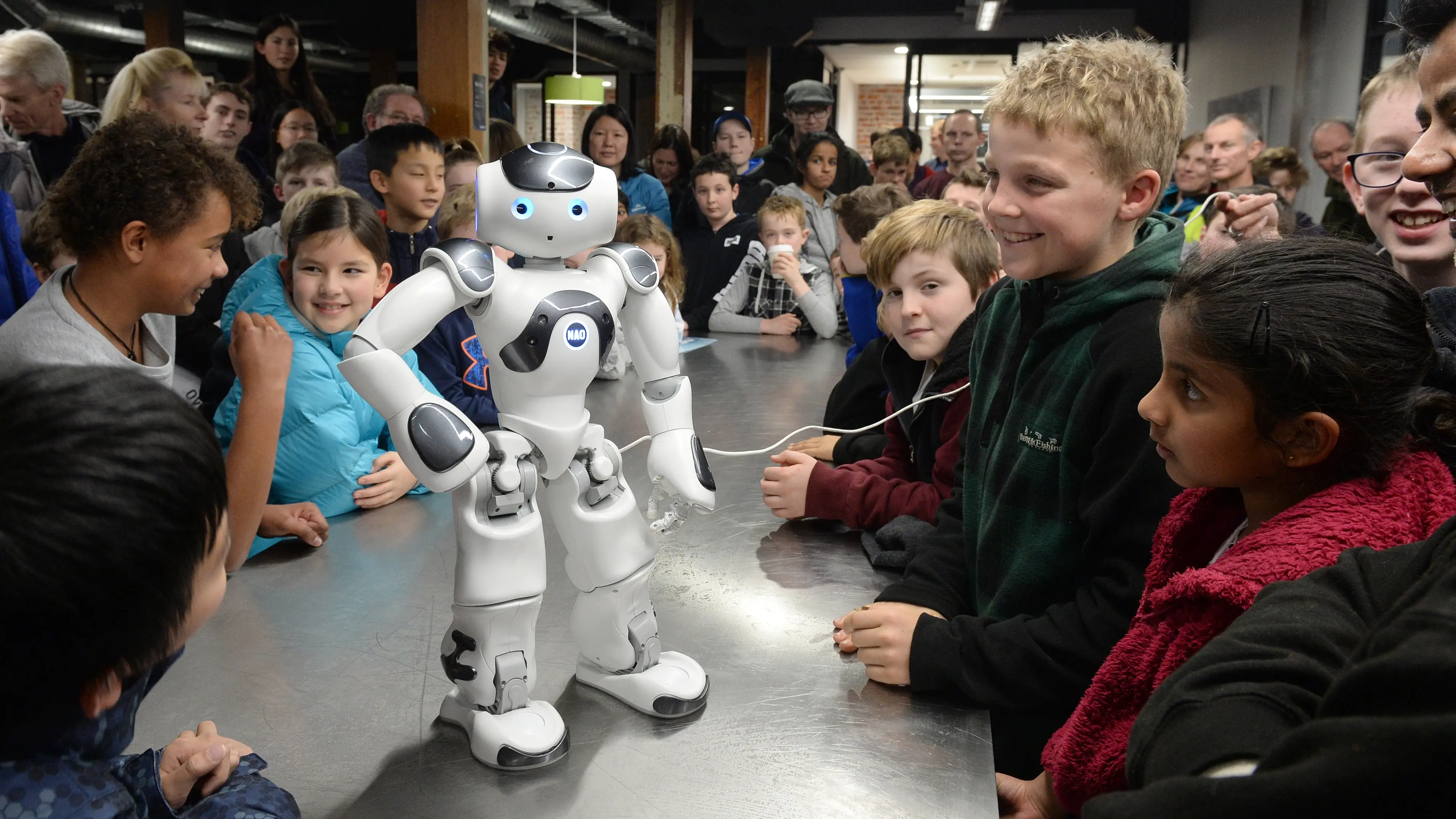 Robot about more than just fun and games