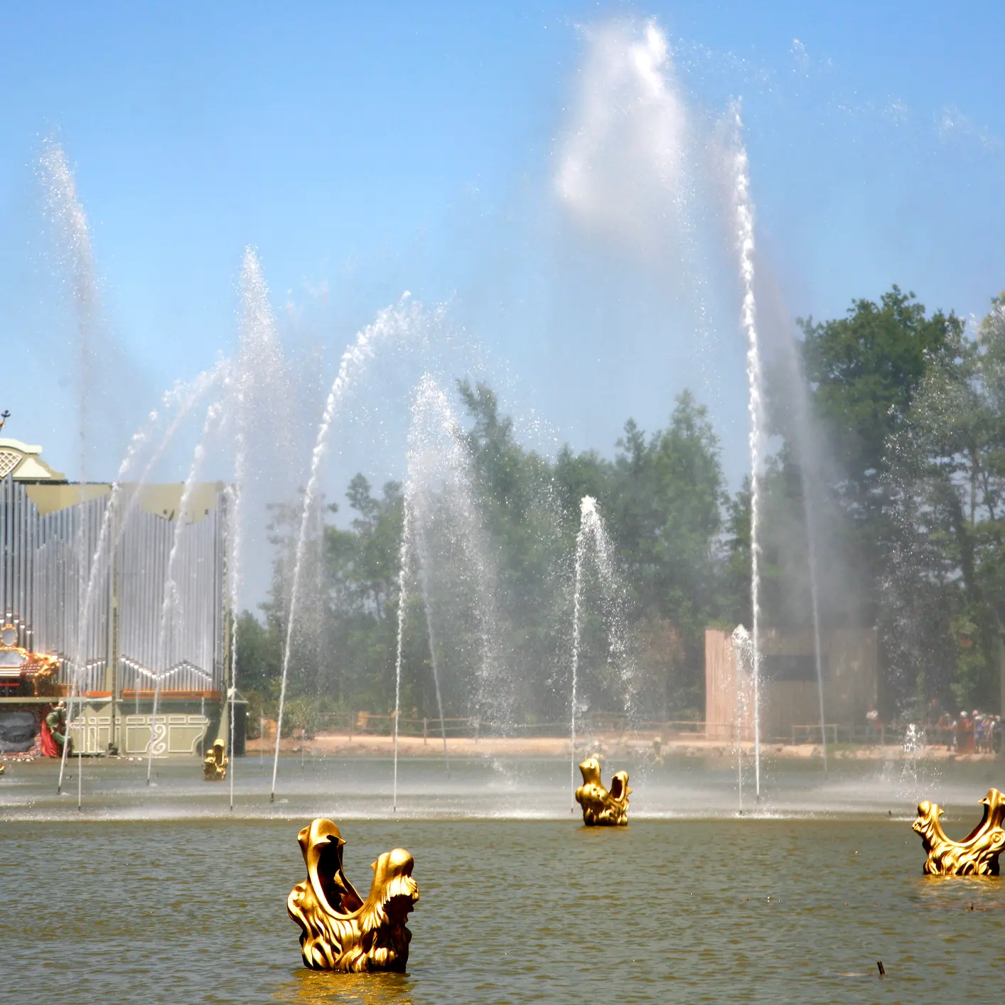 French theme park trains birds to retrieve litter