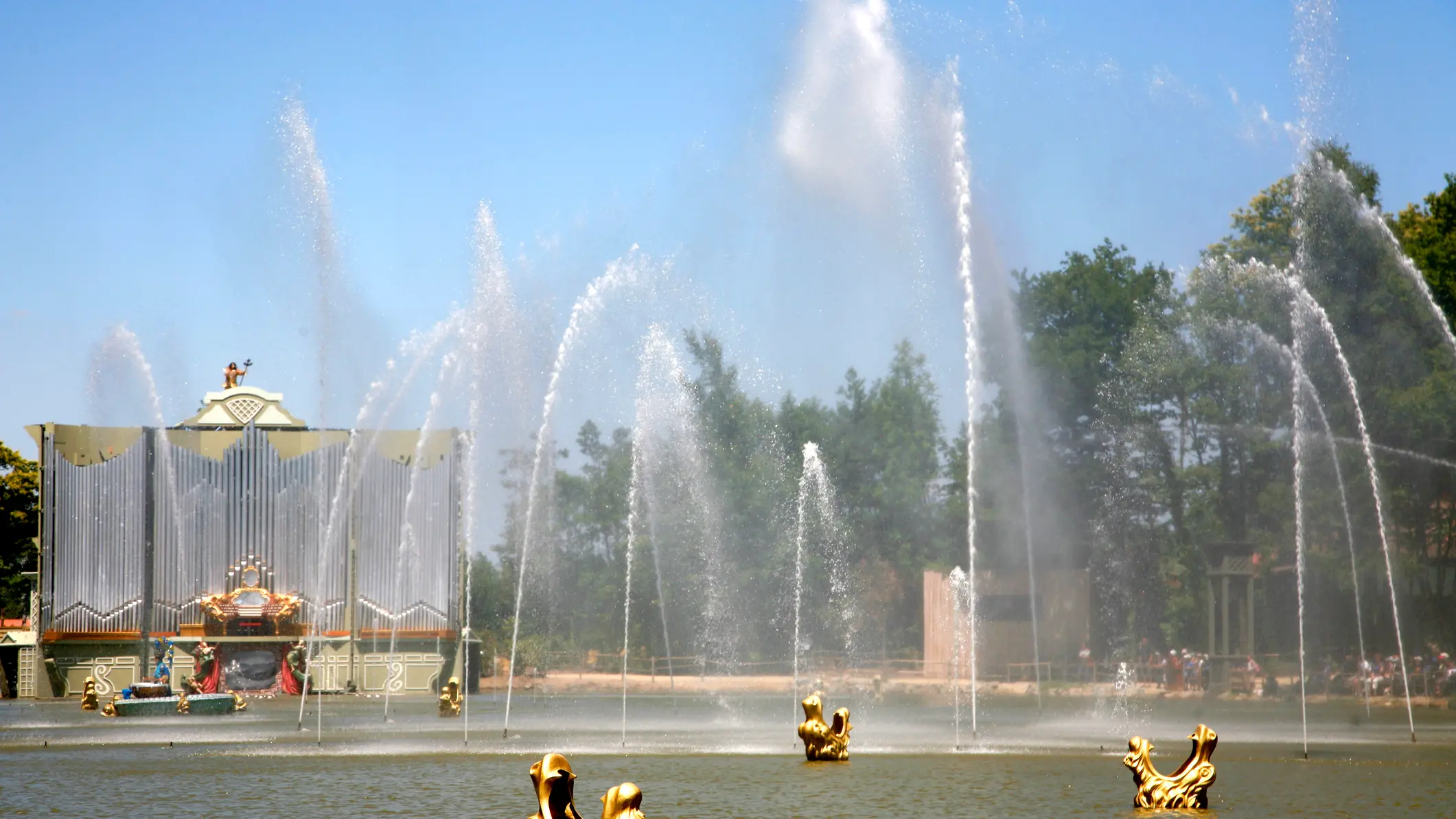 French theme park trains birds to retrieve litter