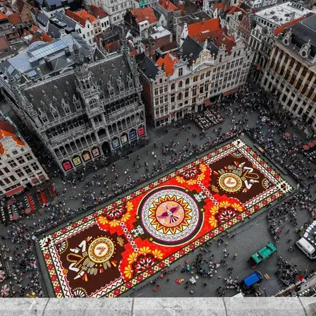 Stunning flower carpet emblazons Brussels