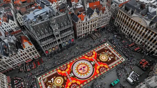 Stunning flower carpet emblazons Brussels