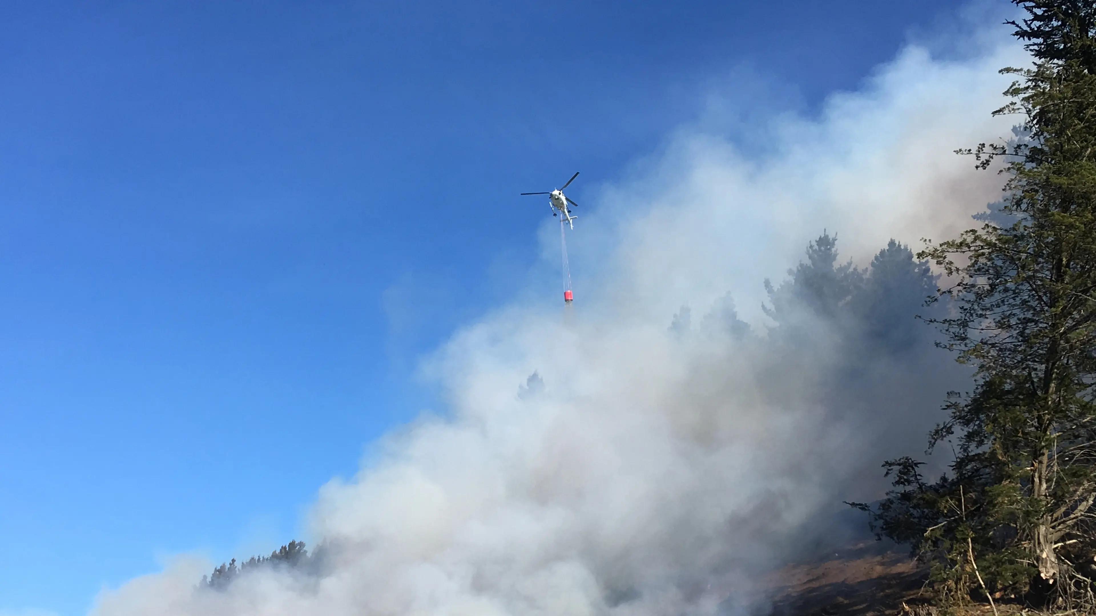 Burn-off threatens forest