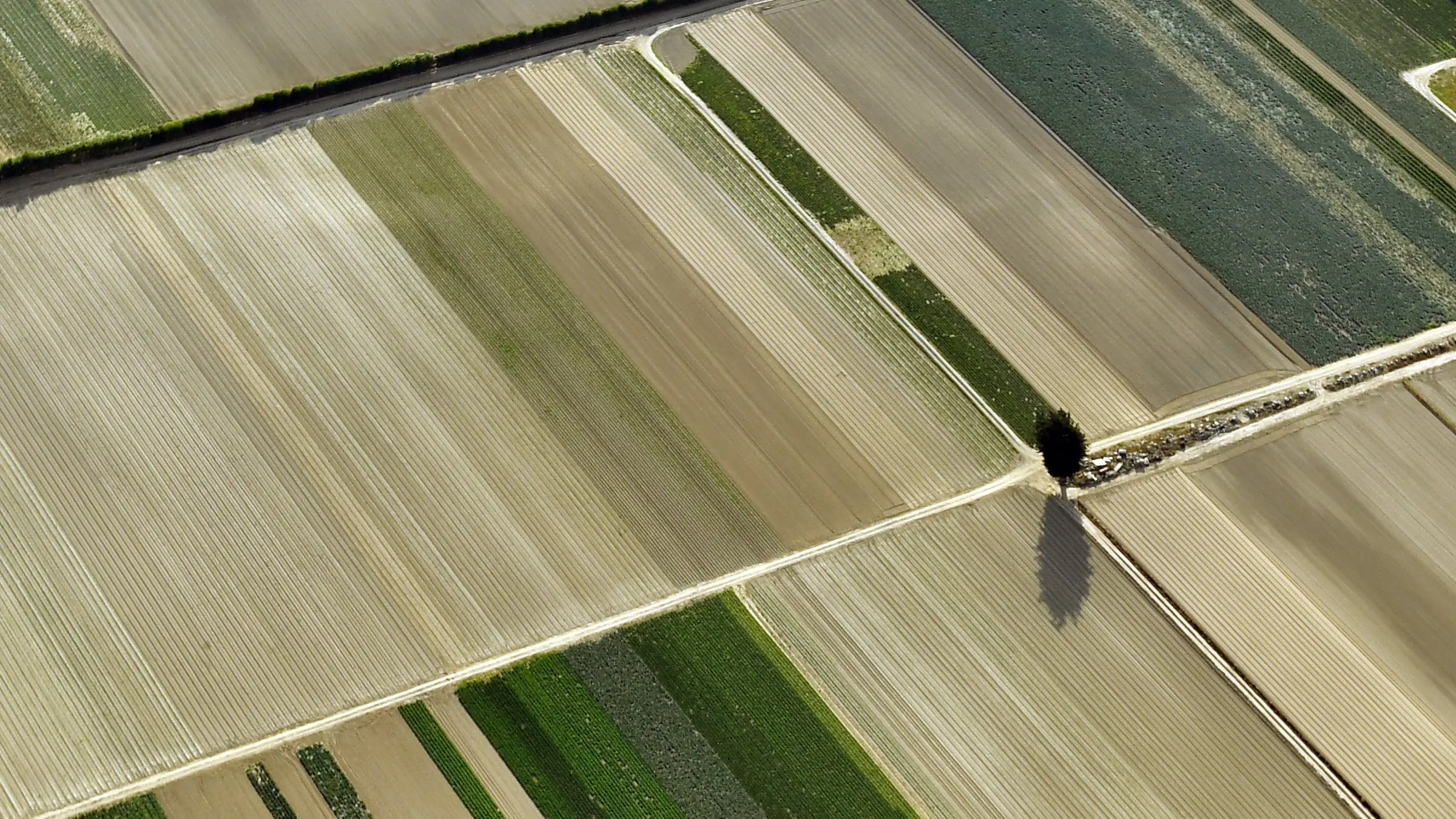 Plans for a good harvest