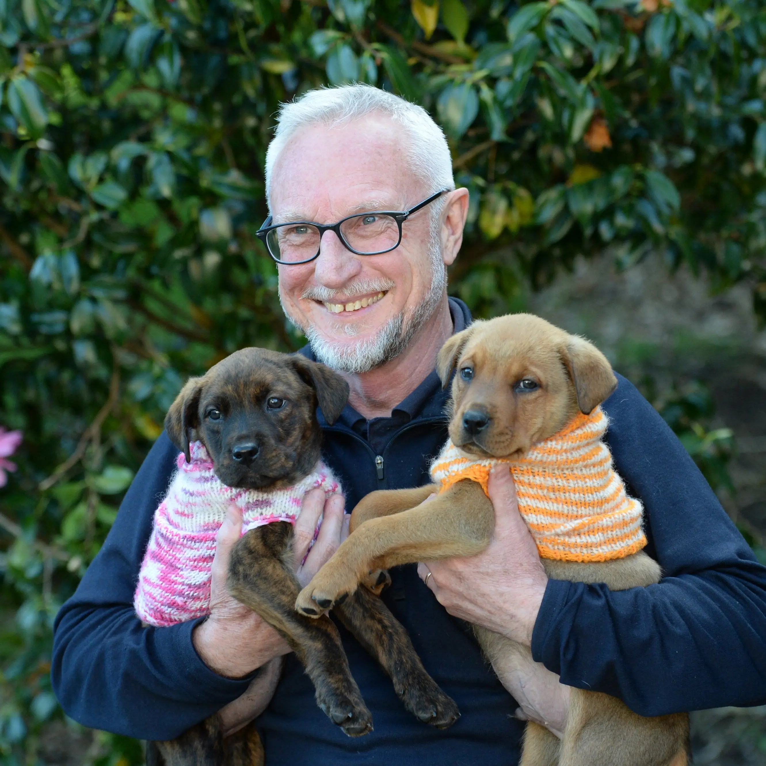 Animal welfare complaints up