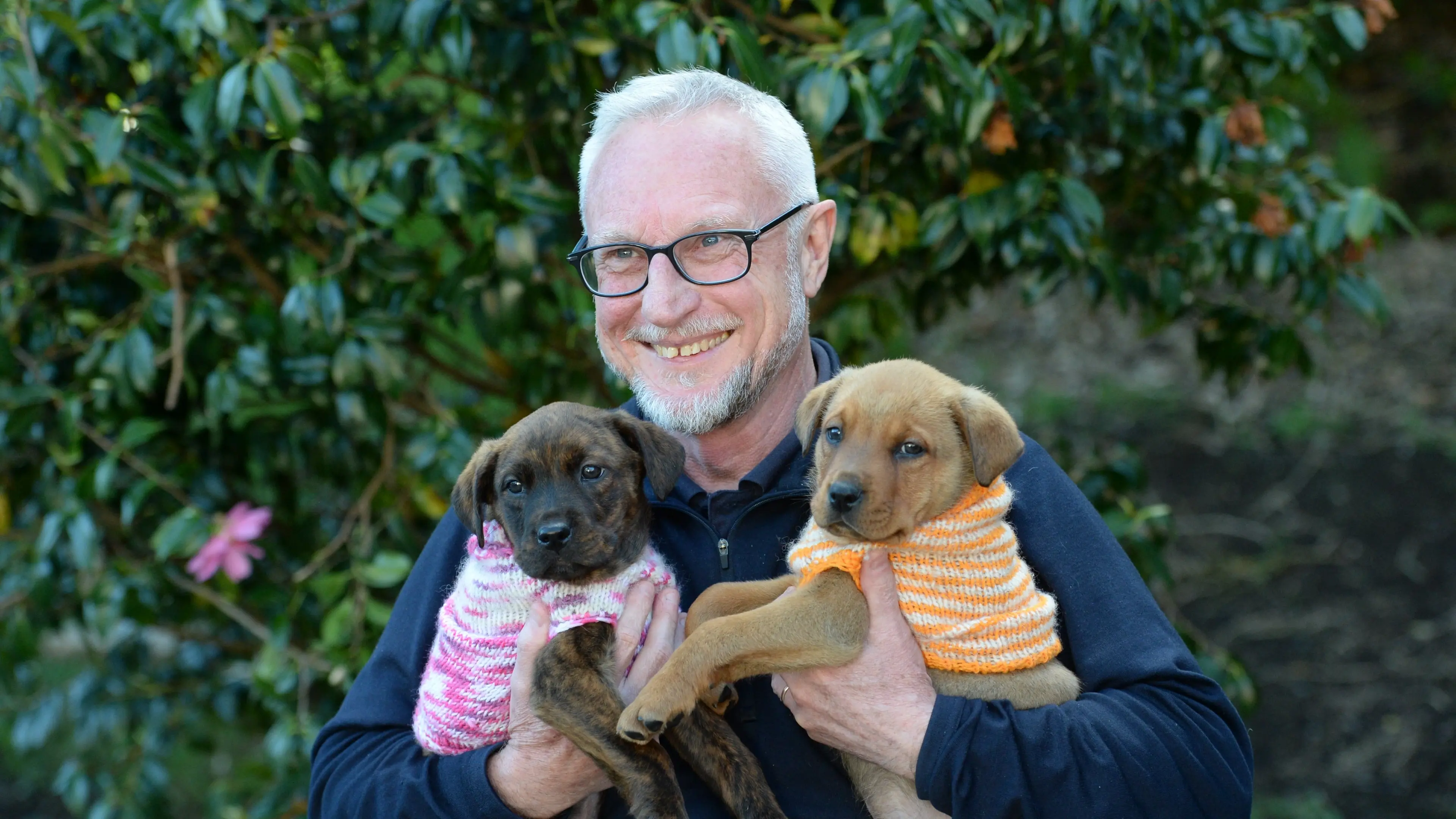 Animal welfare complaints up