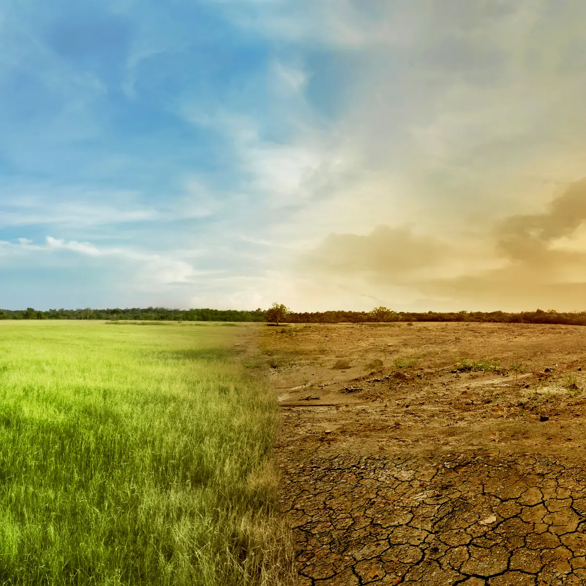 Food system needs new 'sense'