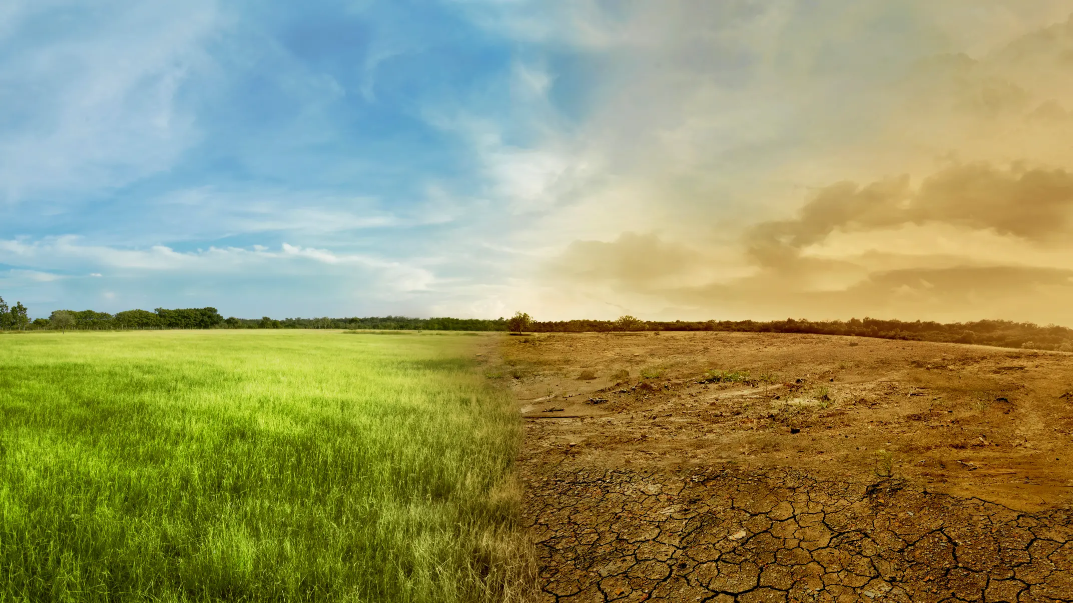 Food system needs new 'sense'