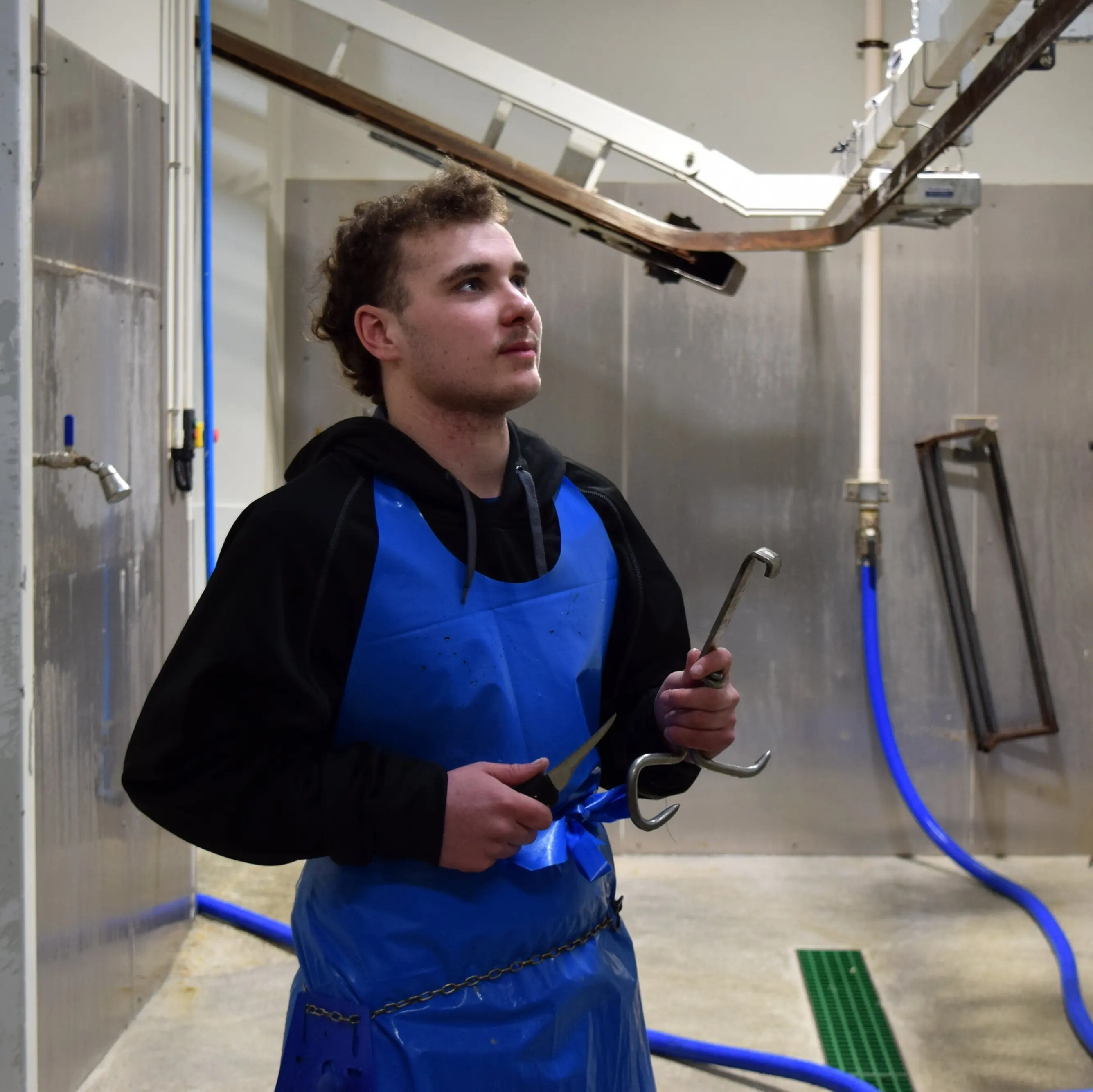 Micro-abattoir provides security of supply for Southland butchery shops