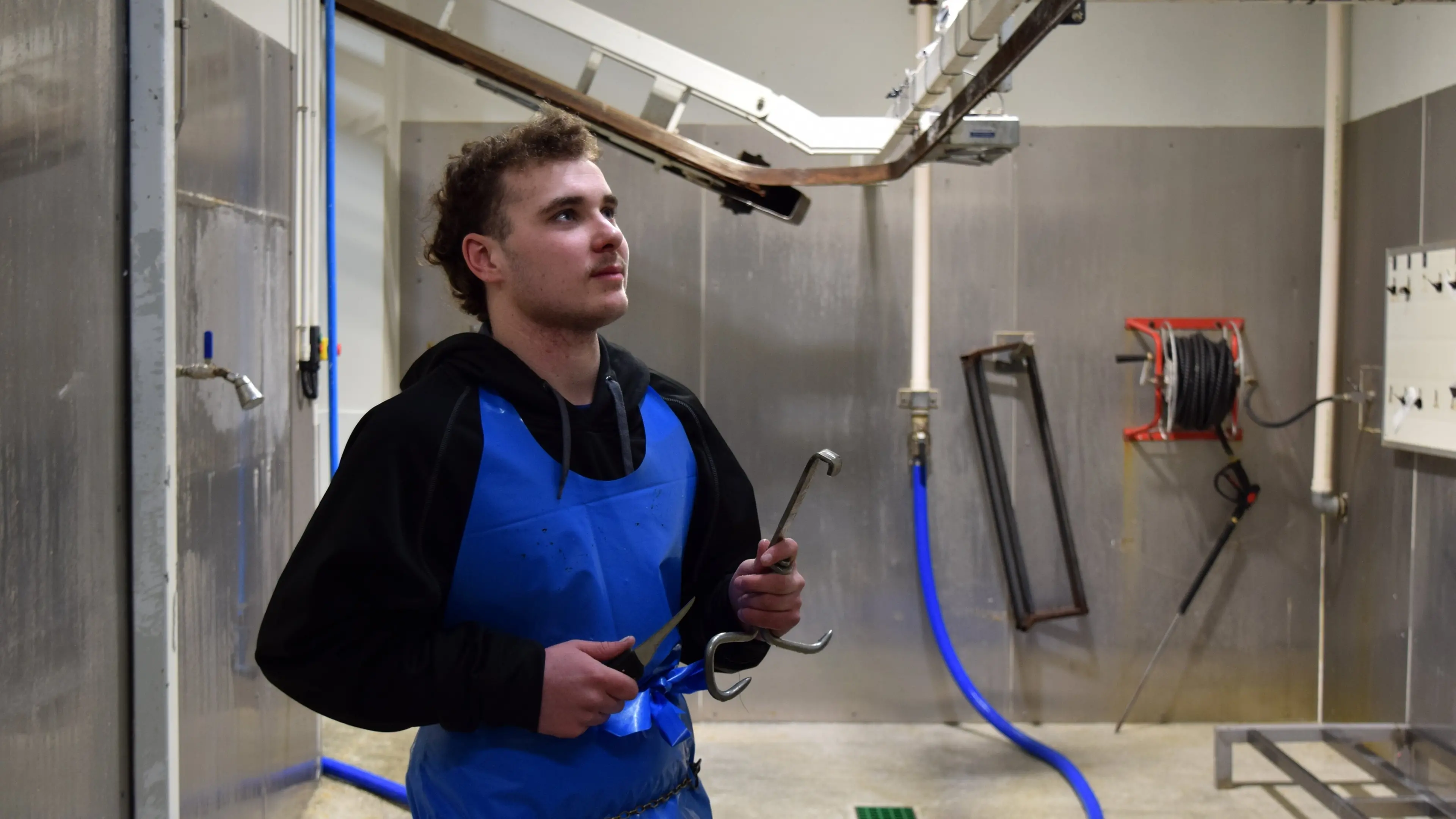 Micro-abattoir provides security of supply for Southland butchery shops