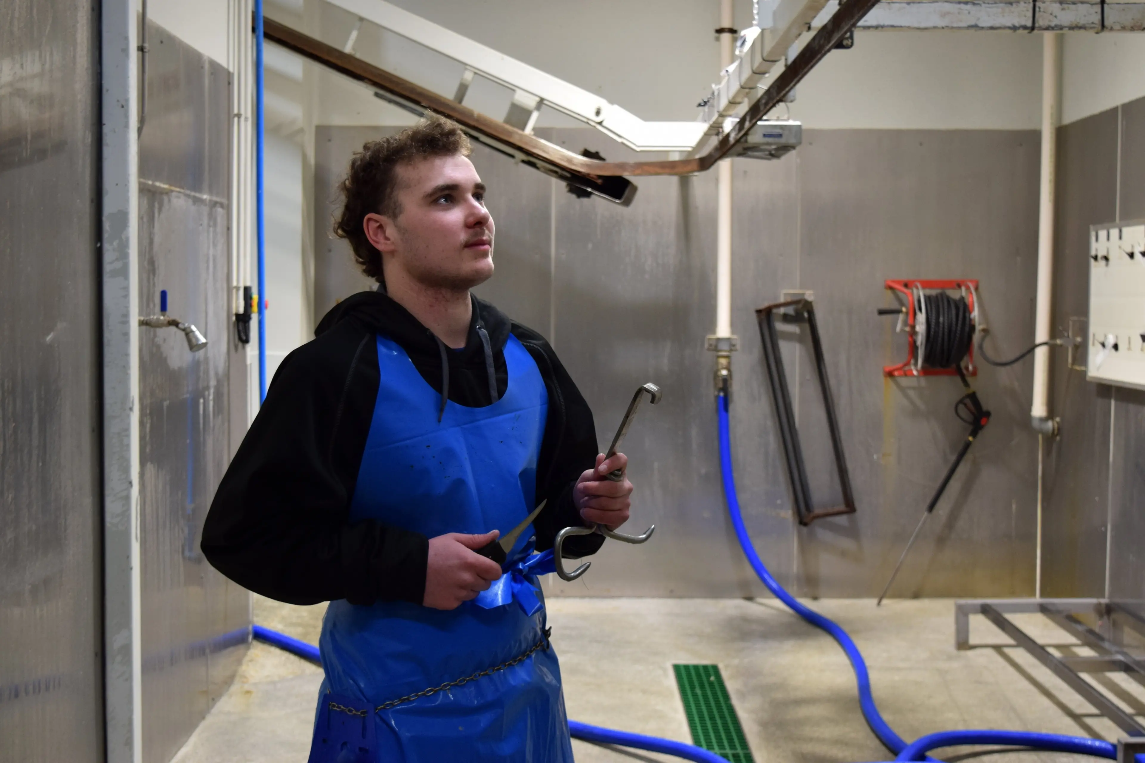 The Grocer Lorneville apprentice Dom Nielsen, of Invercargill, in the micro-abattoir in Lorneville. Photo: Shawn McAvinue