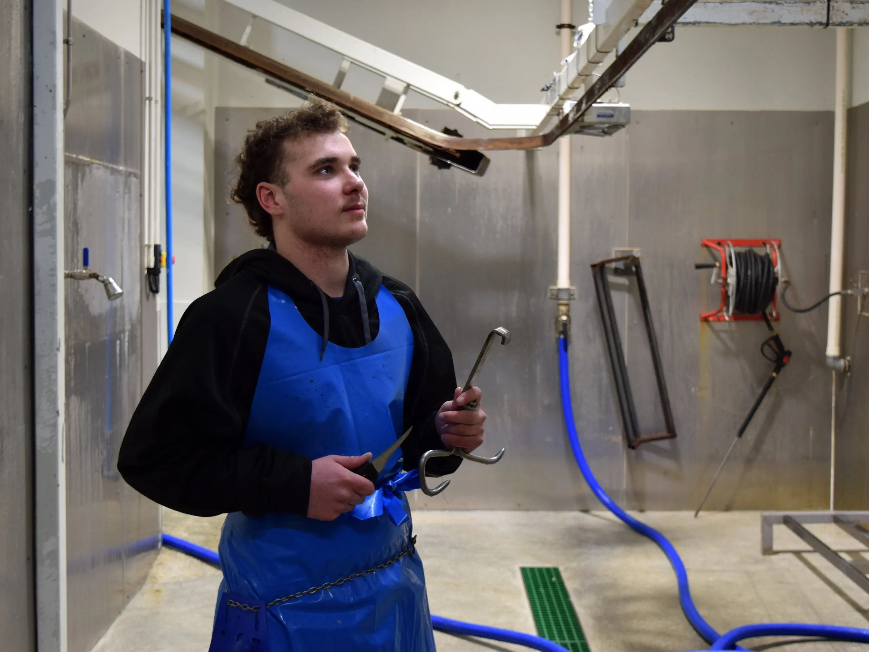 Micro-abattoir provides security of supply for Southland butchery shops