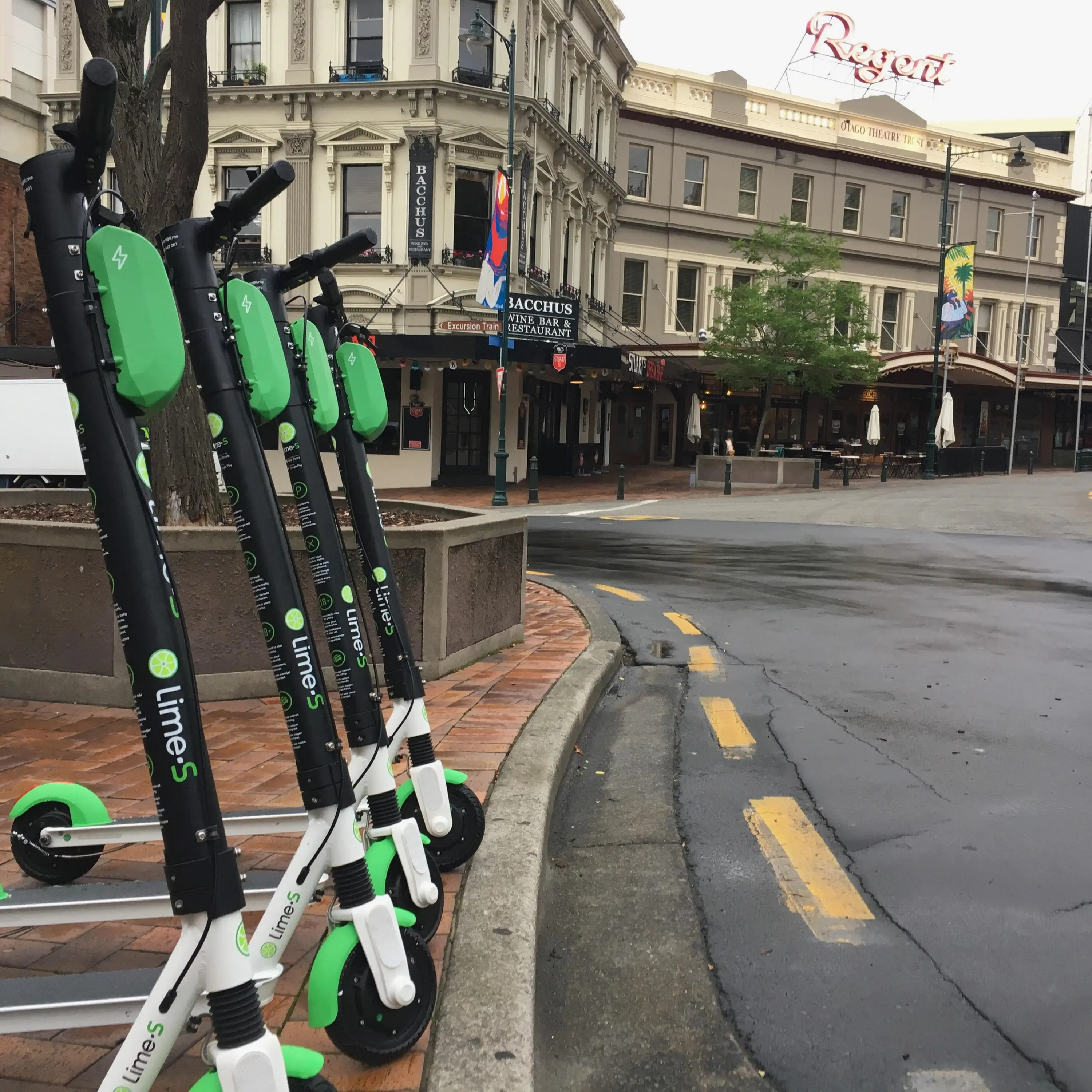 Limes back on Dunedin streets tomorrow