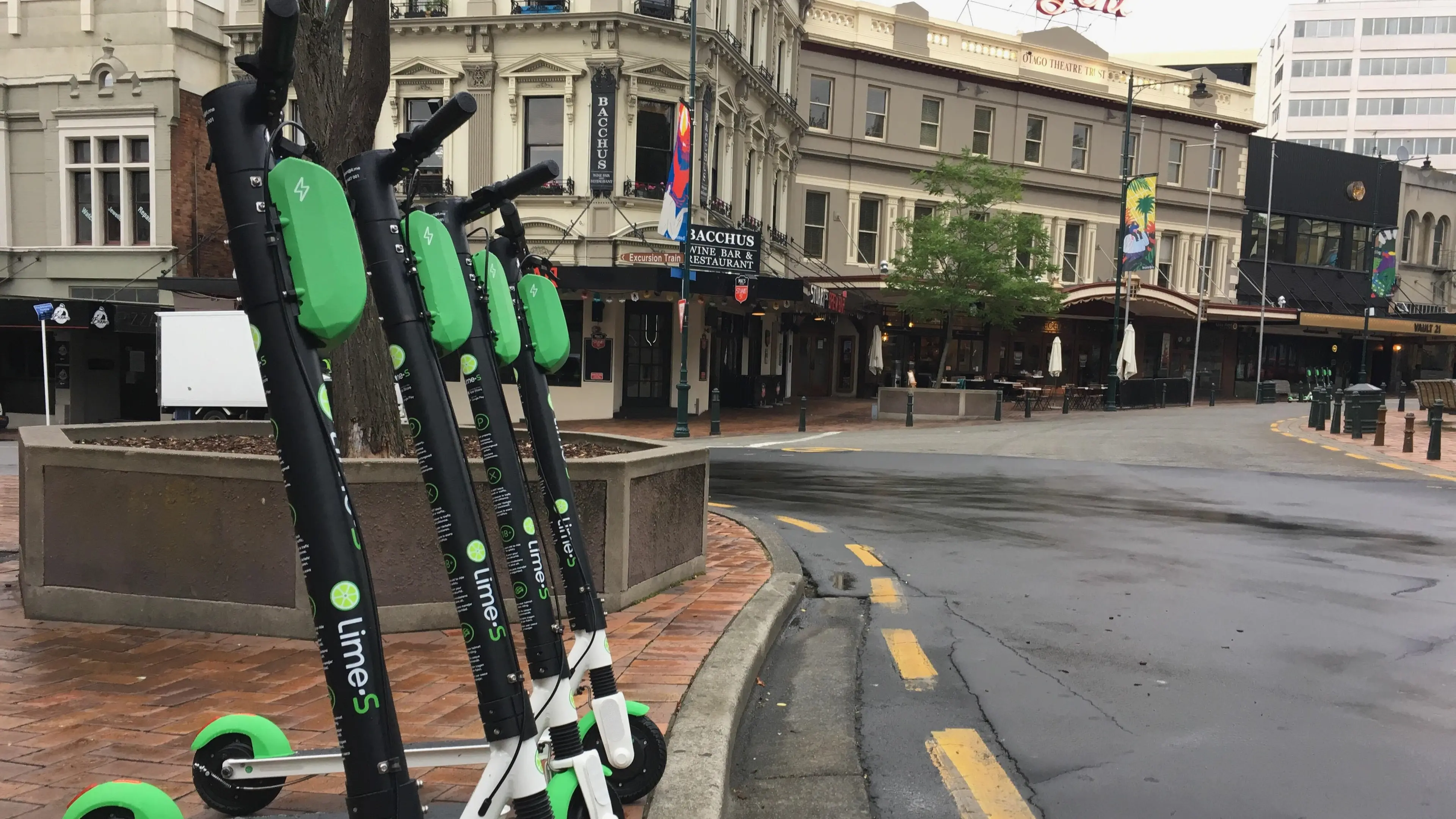 Limes back on Dunedin streets tomorrow