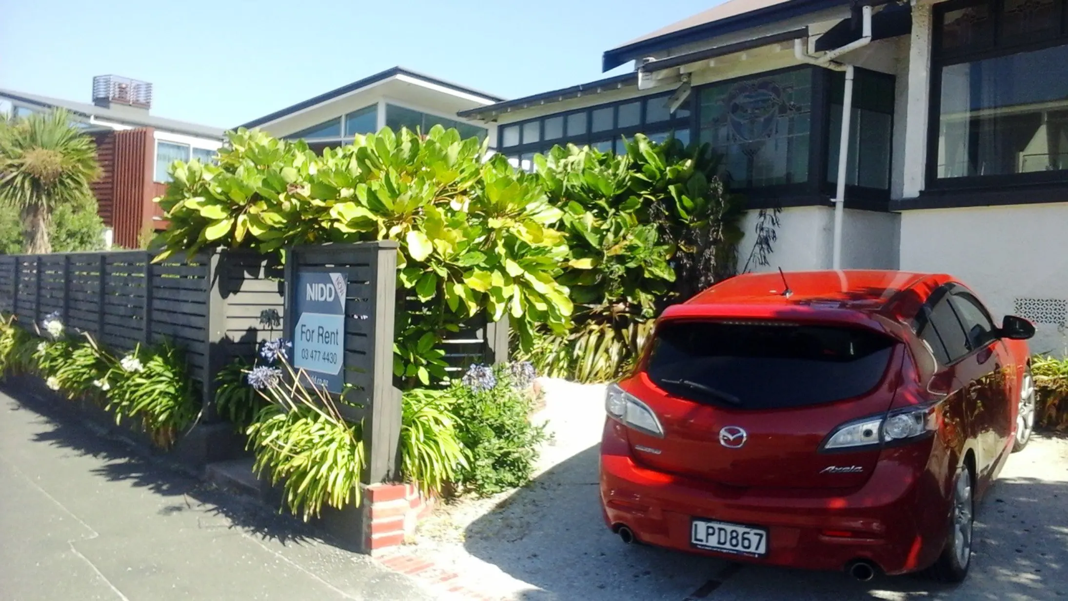 Buccaneers of NZ flora