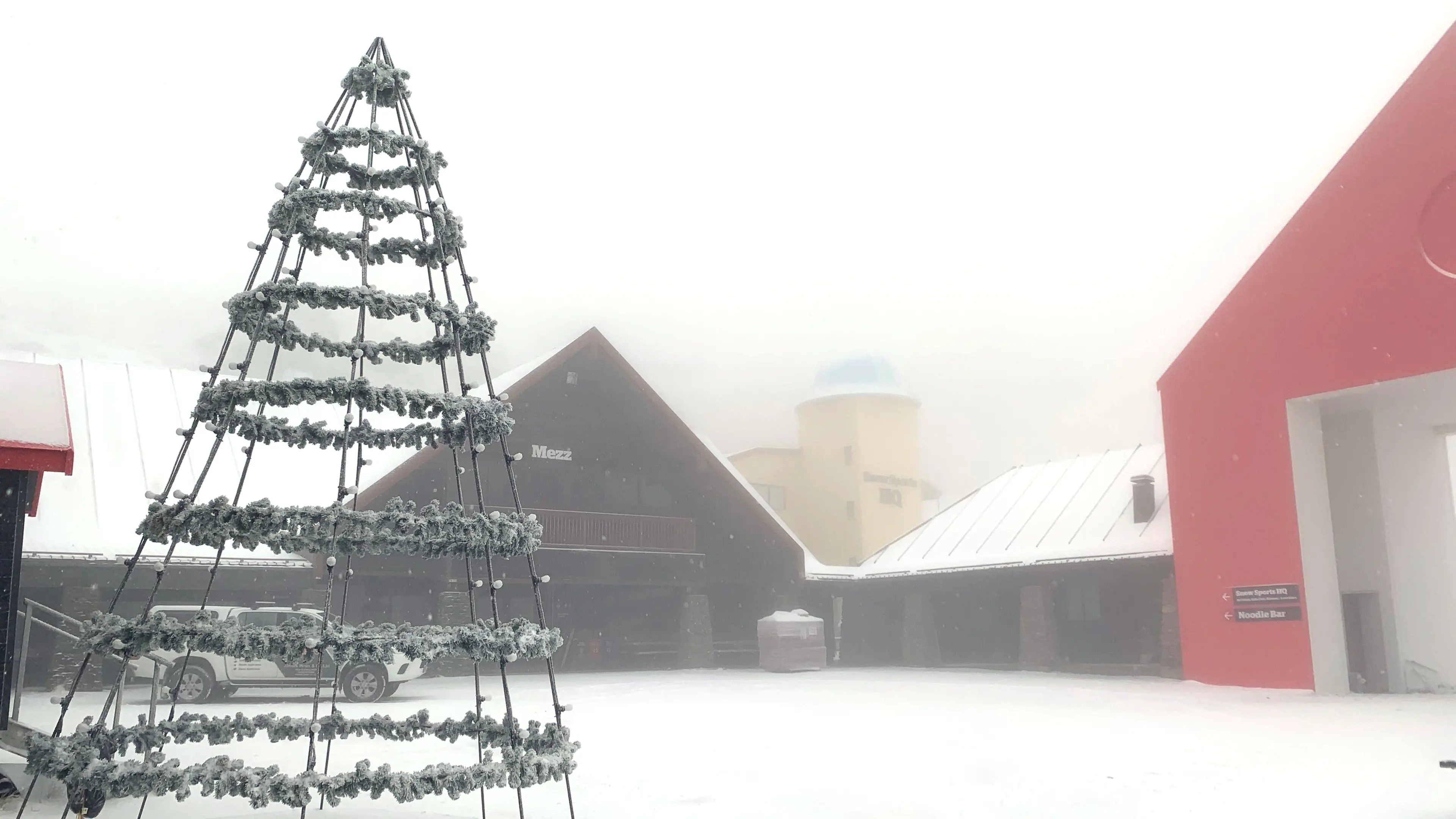 Sight of white a delight for some