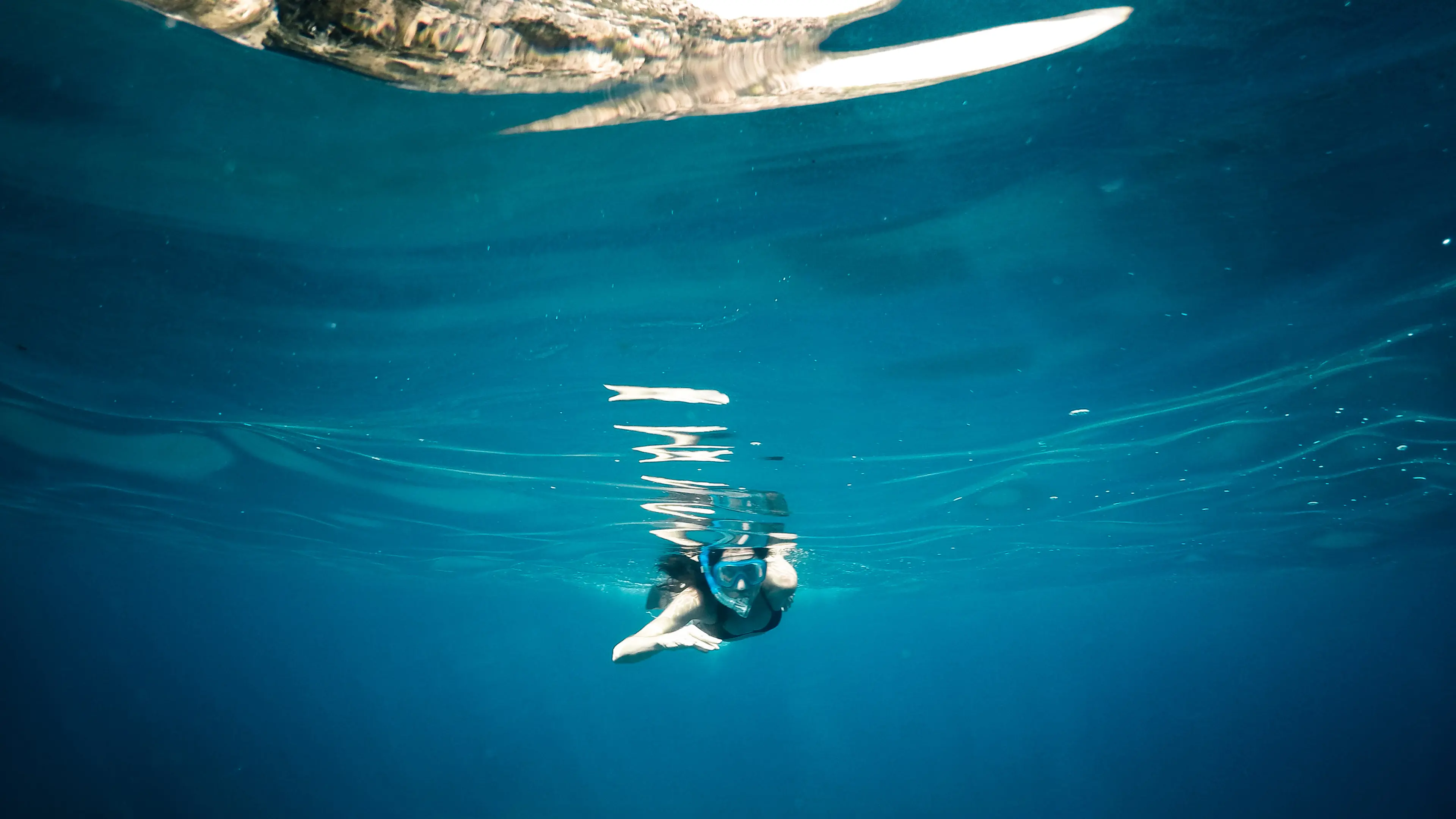 Participants 'scared for their lives' during snorkelling tours