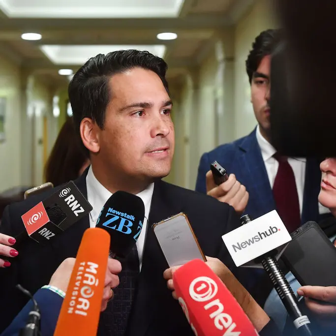 Budget a disappointment to NZers: Bridges