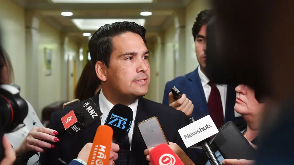 Budget a disappointment to NZers: Bridges