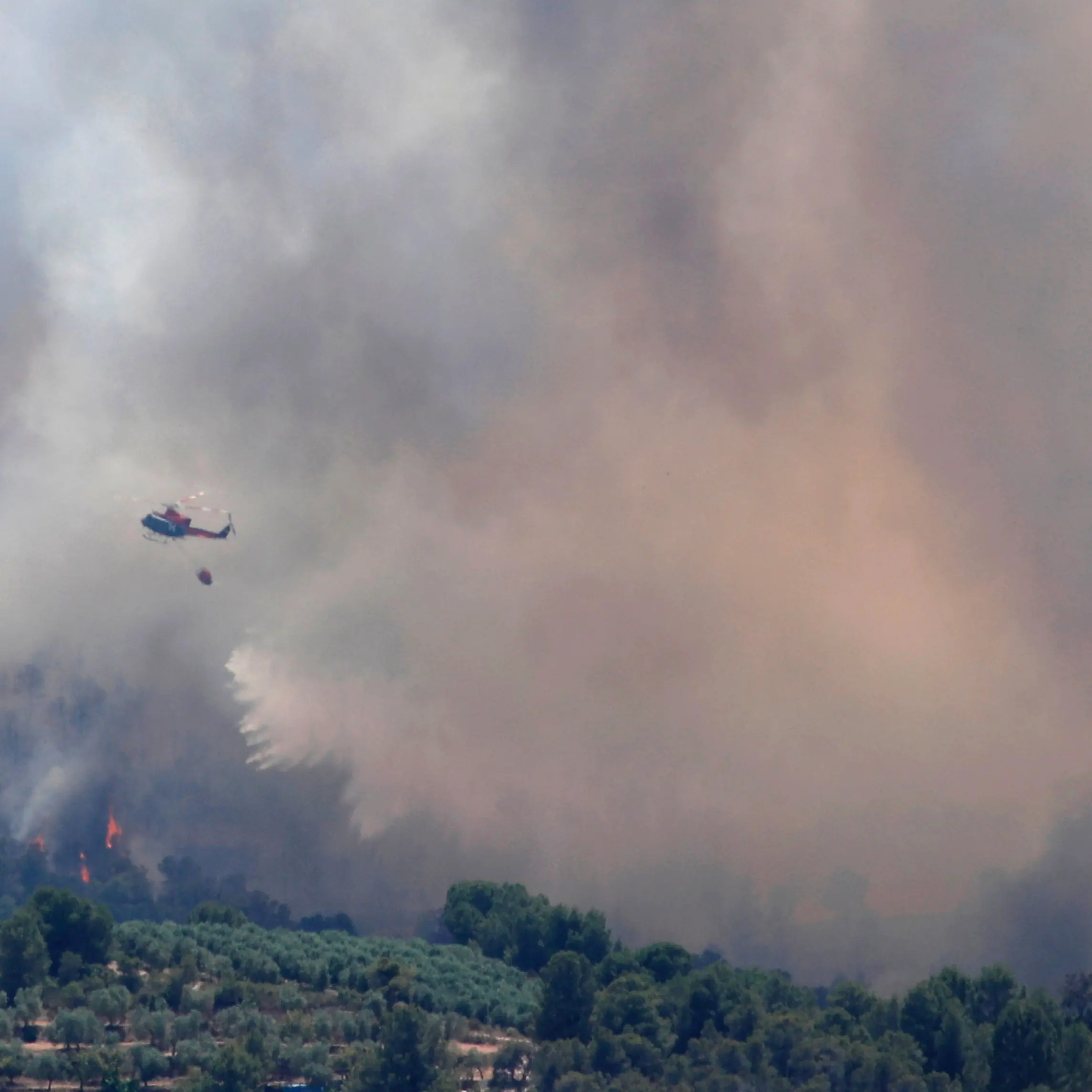 'Worst is still to come': Sizzling Europe battles wildfires
