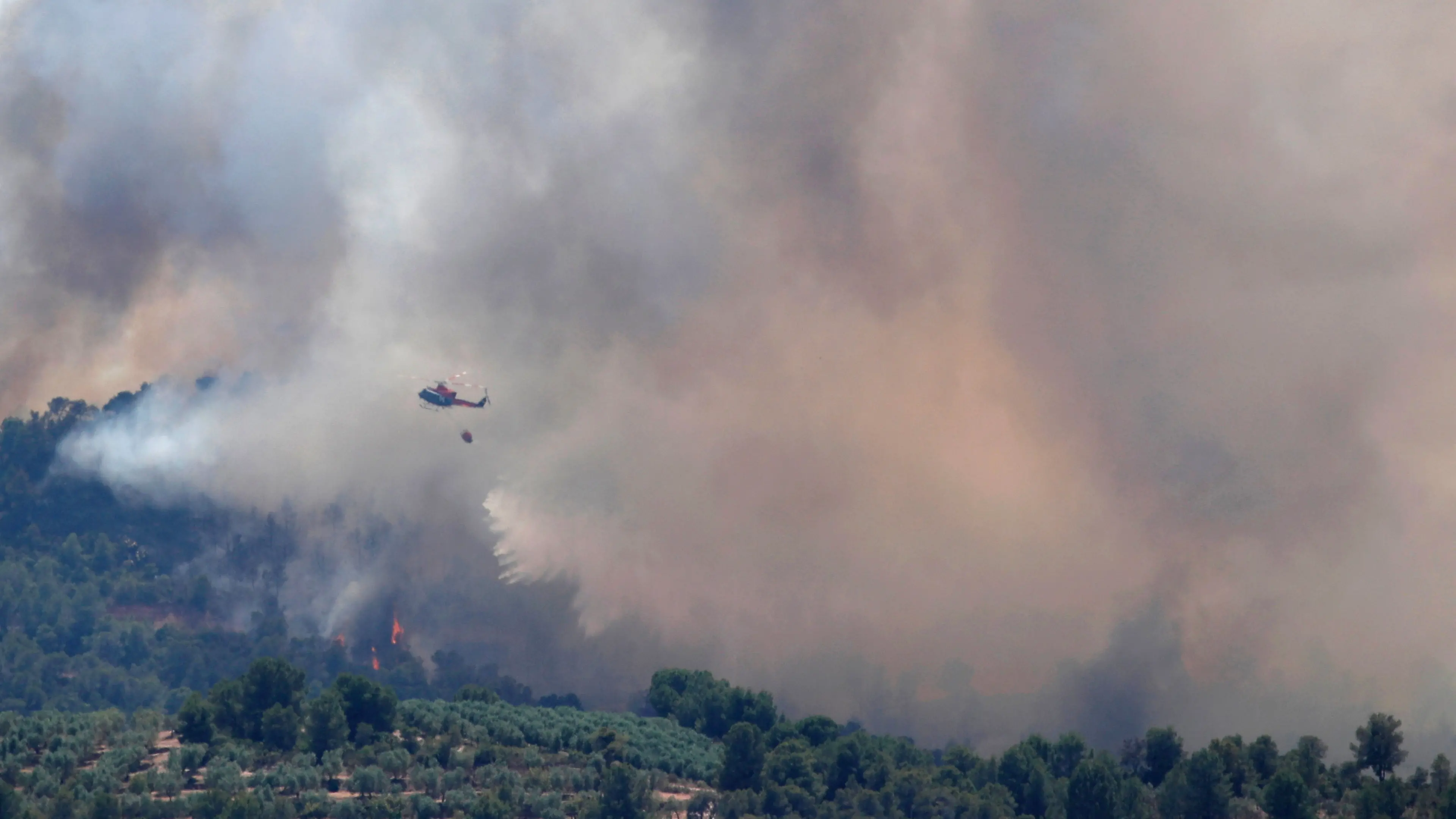 'Worst is still to come': Sizzling Europe battles wildfires
