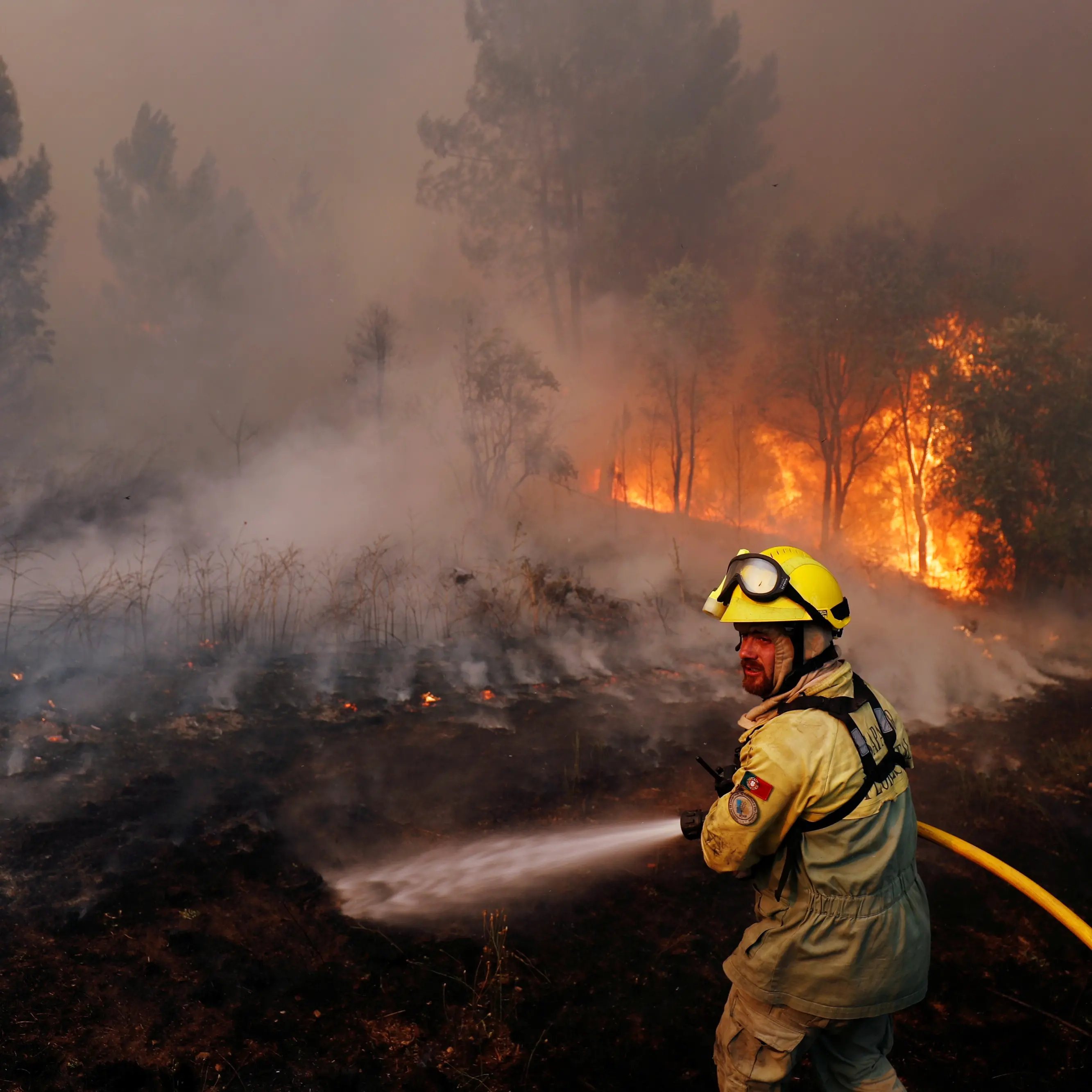 Villagers, firefighters battle huge blazes in Portugal