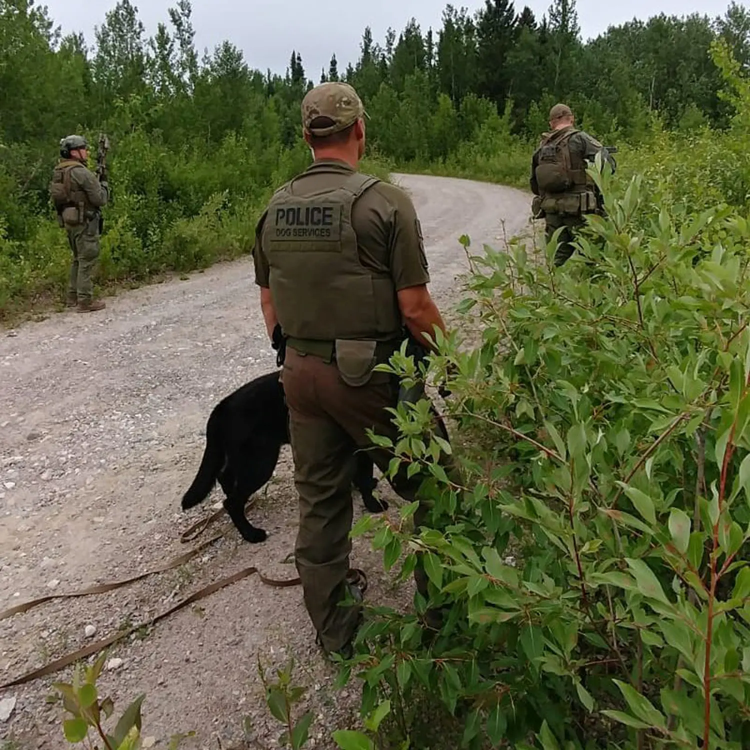 Police use drones, dogs in hunt for teen murder suspects