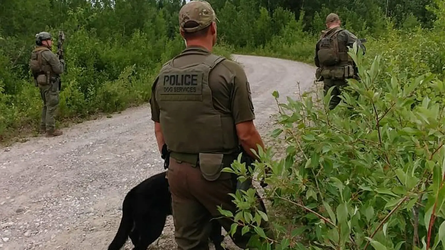 Police use drones, dogs in hunt for teen murder suspects