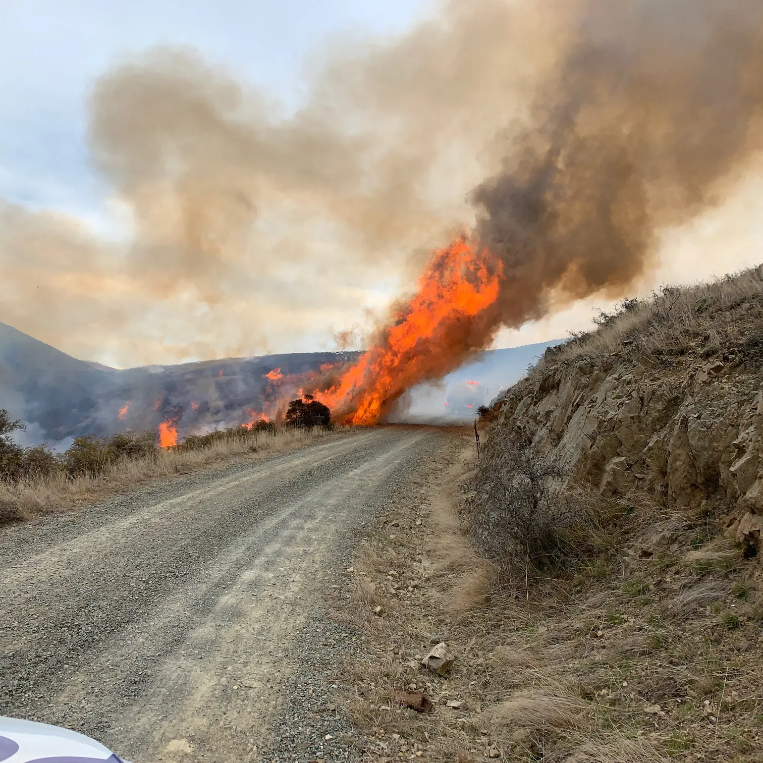 Fire crews arrest big blaze near Kurow