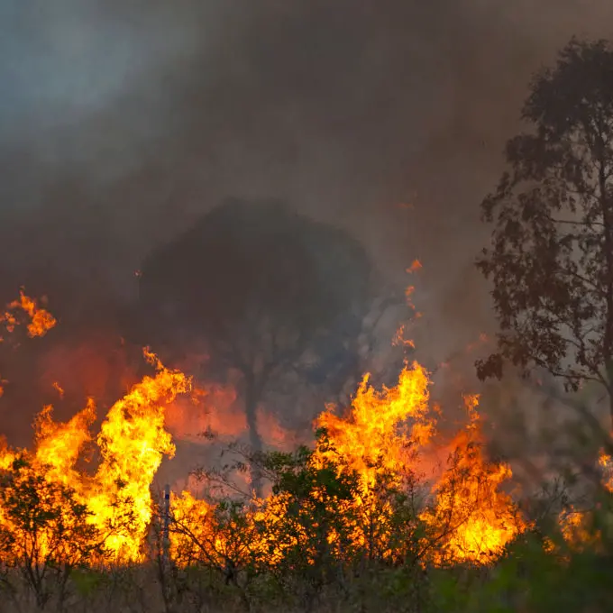 Hundreds evacuated from Qld bushfire zones
