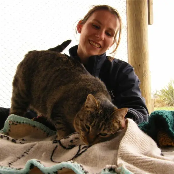 Club spins, weaves for feline friends