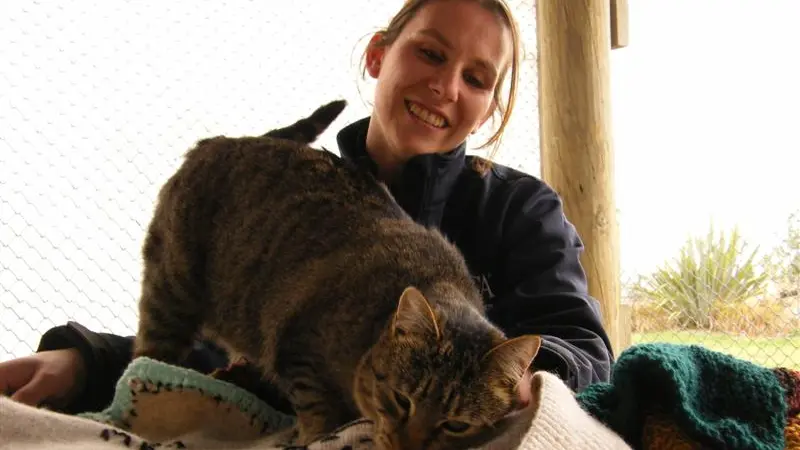 Club spins, weaves for feline friends