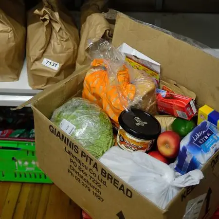 Budget allocates $252.6m to keep Kiwis fed