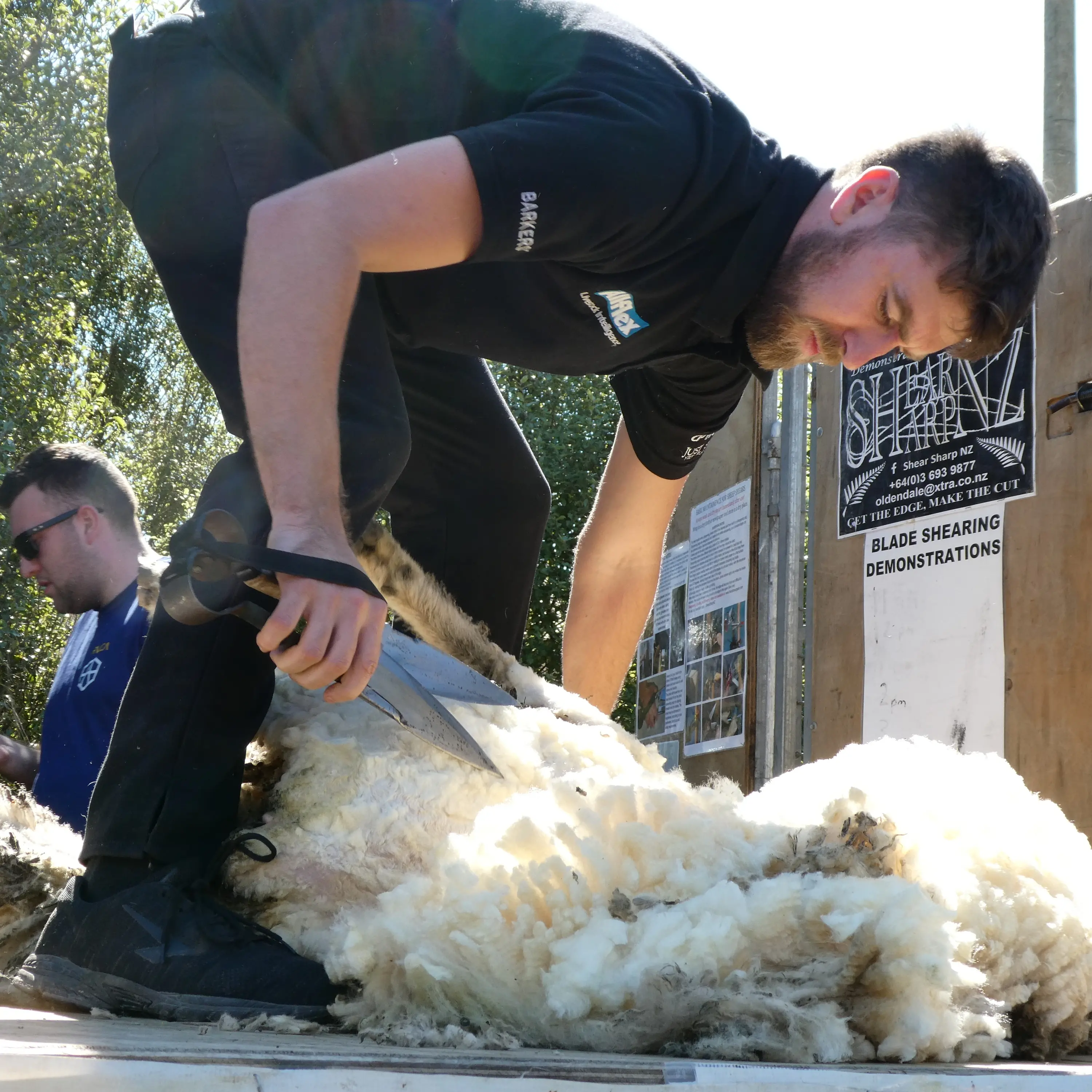 Shearing stars show how it's done