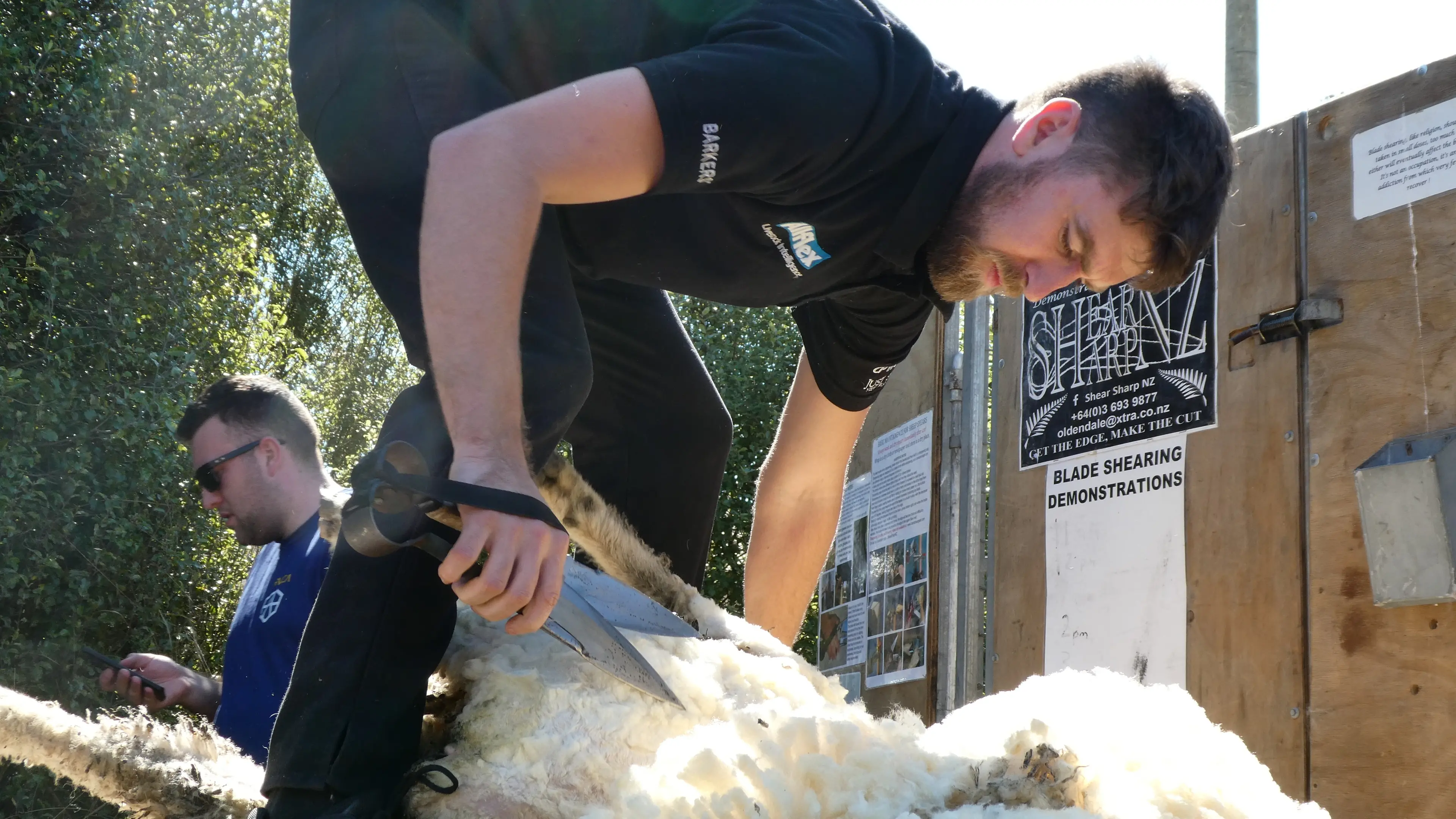 Shearing stars show how it's done