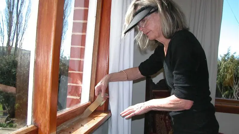 Cluster flies drive woman to despair