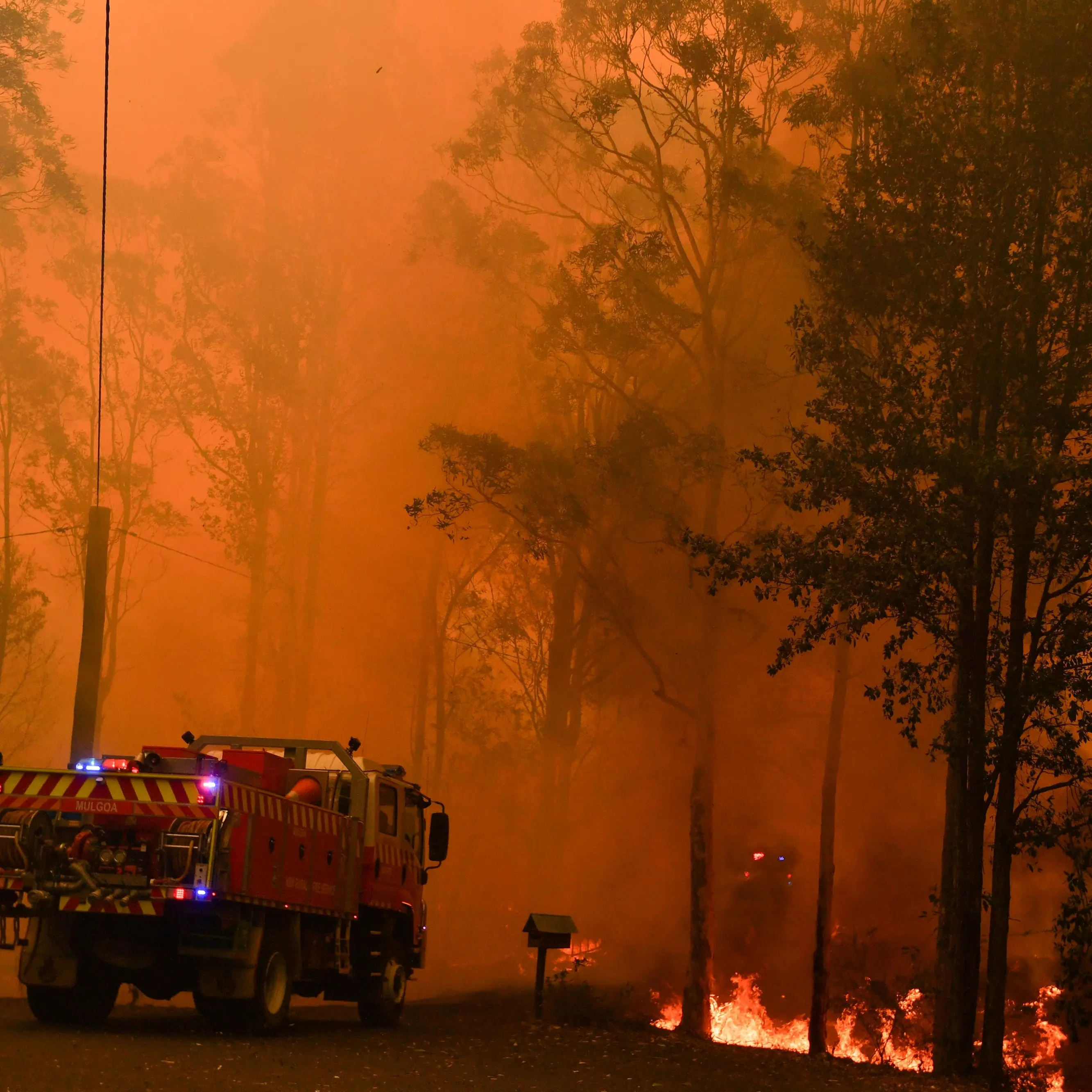 Fires continue to rage in Queensland, NSW