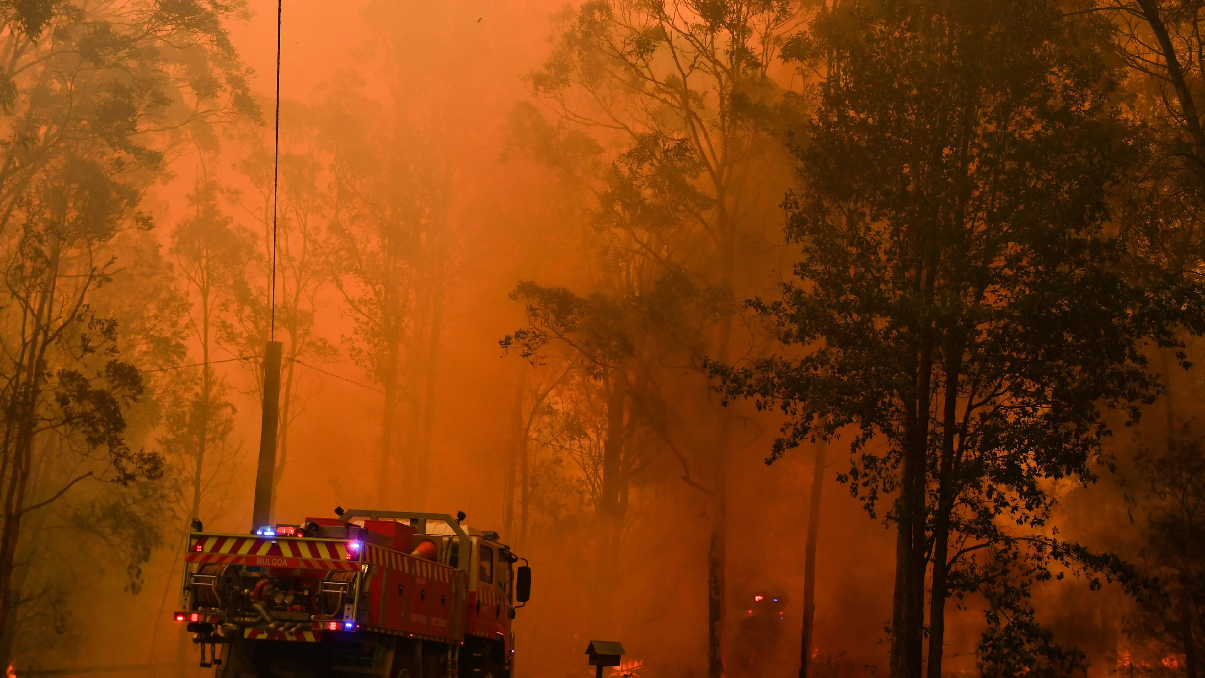 Fires continue to rage in Queensland, NSW