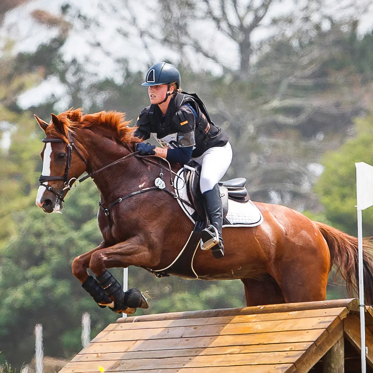 'Amazing' Blaze and Morshuis beat Paget