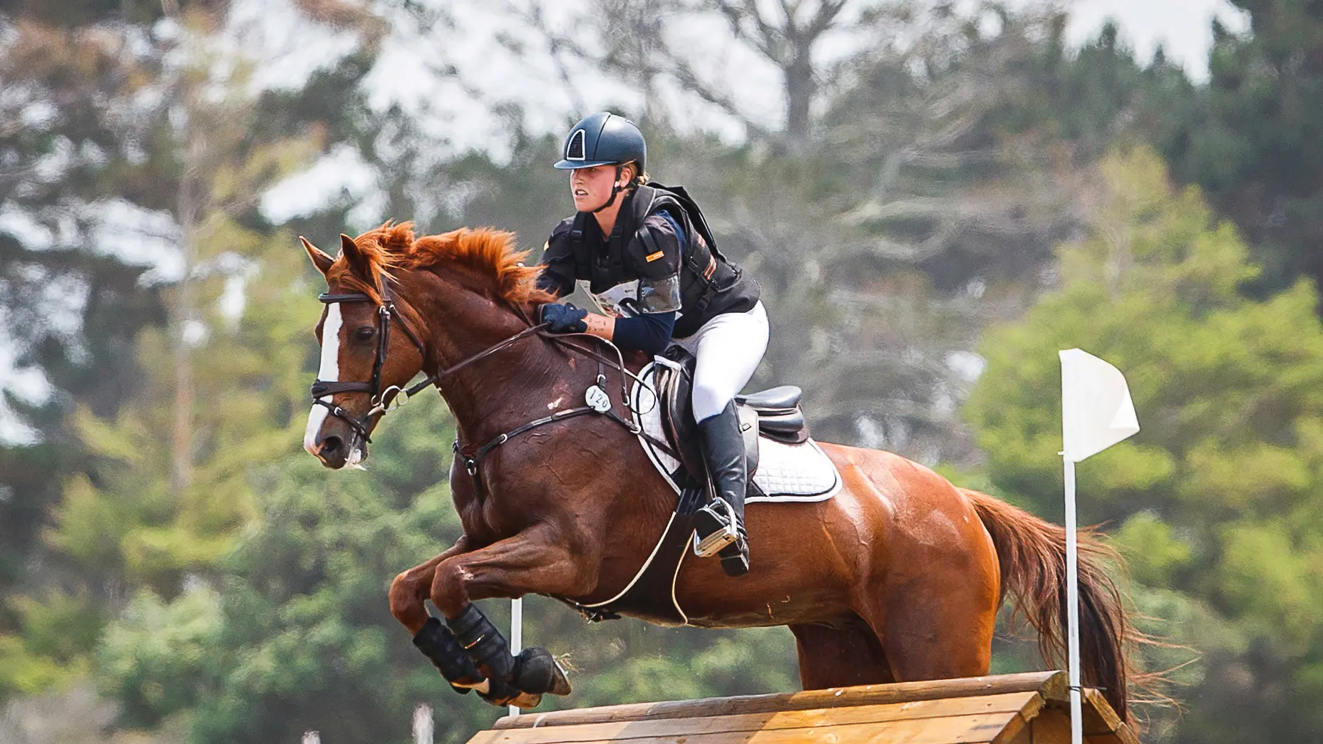 'Amazing' Blaze and Morshuis beat Paget