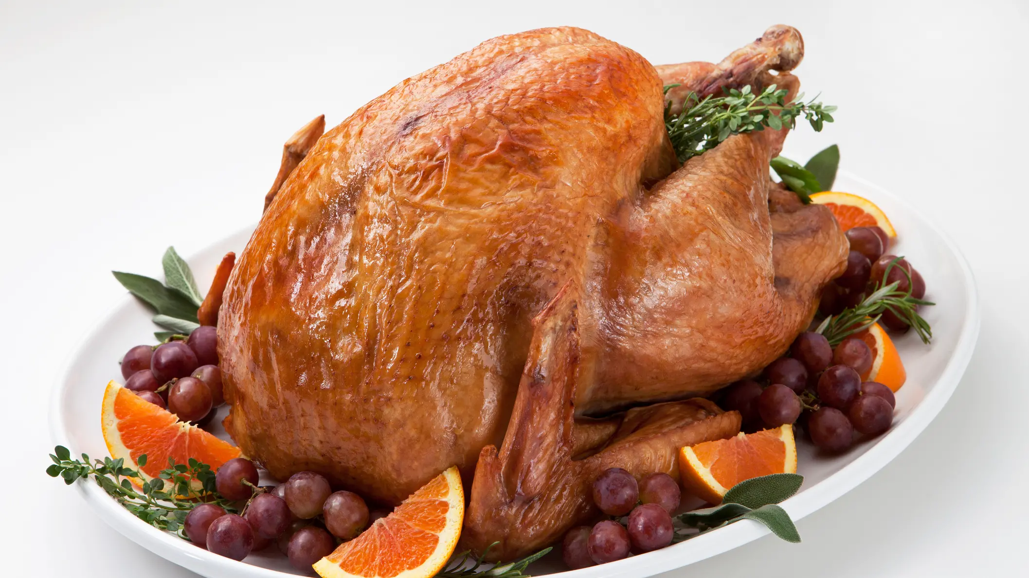 Soaring like a turkey