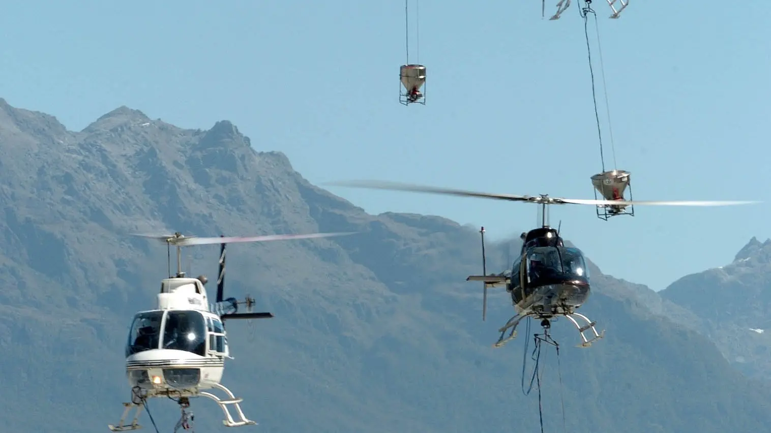 West Coast council expects profits from 1080