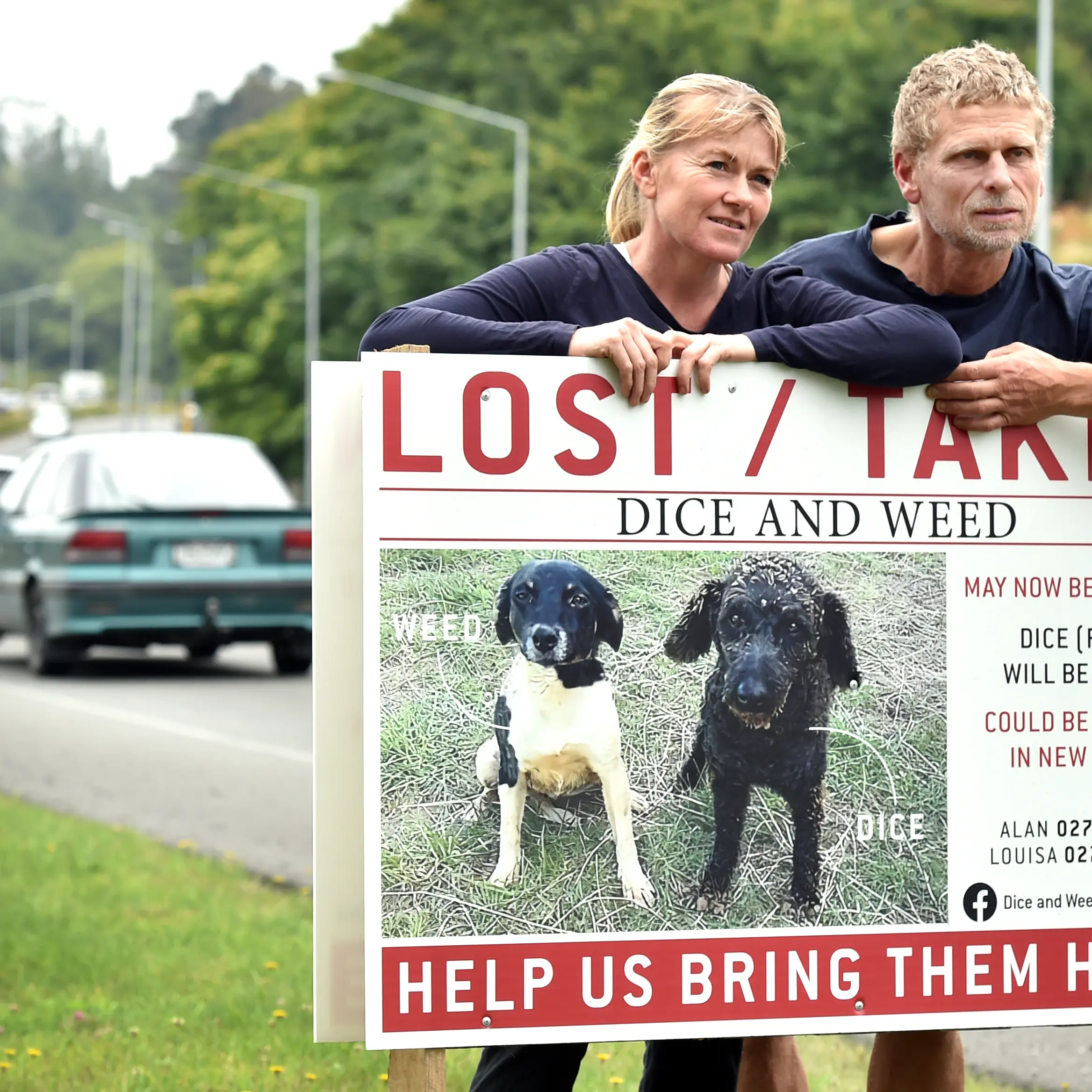 Hoaxer makes couple more determined to find missing dogs